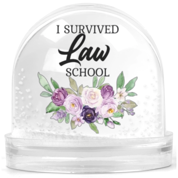 I Survived Law School Lawyer Graduation Gift Snow Globe