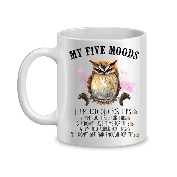Owl Moods Coffee Mugs with Funny Jokes Graphic Animal Sayings Design Cup072