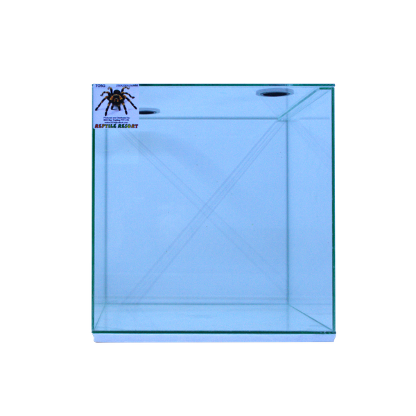 Reptile Resort T05G Glass Spider Enclosure 250x250x250mm