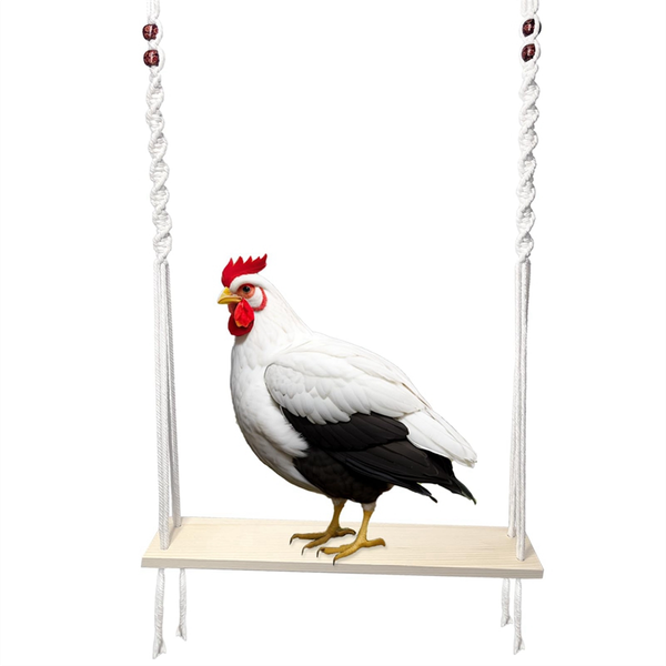 Chicken Swing Toy for Large Chicken Coop Chicken Coop Accessories