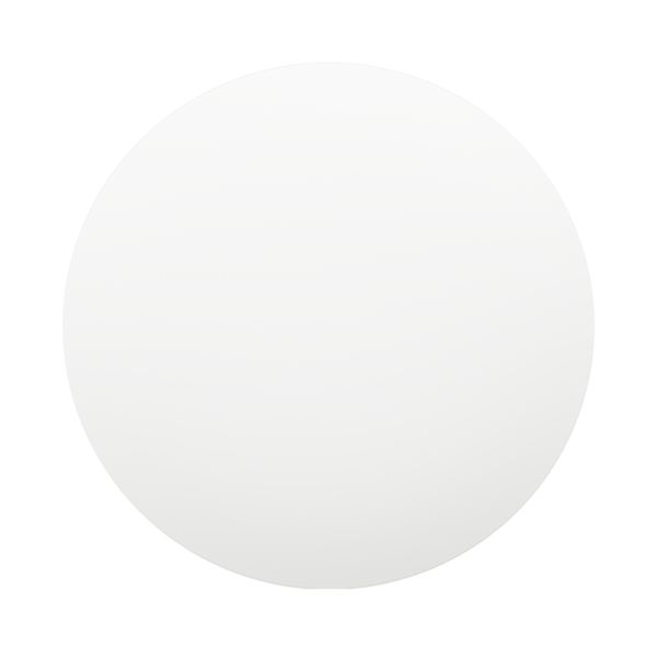 Xiaomi Smart LED Ceiling Light