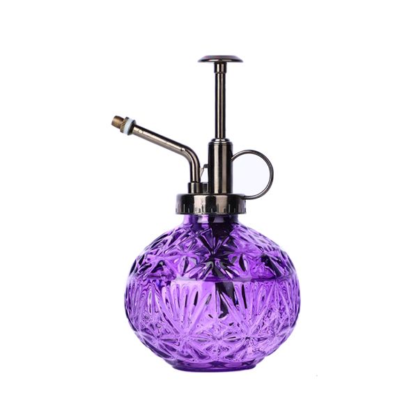 Purple Bronze Top Glass Watering Sprayer