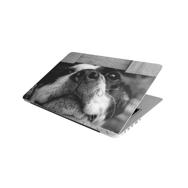 Laptop Skin/Sticker - Cute Staffie