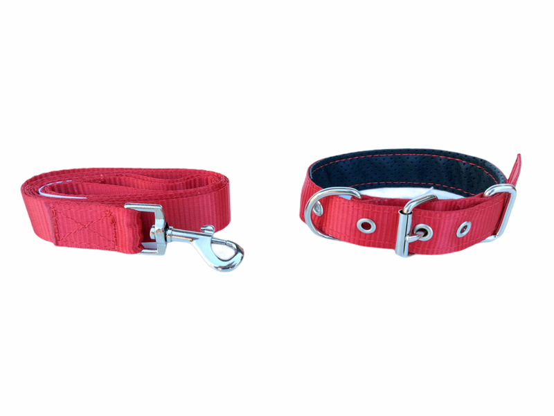 Dog Leash, Dog Collar Combo Set - Small