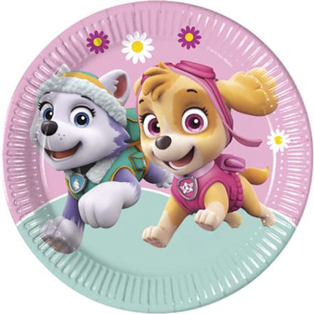 paw patrol takealot