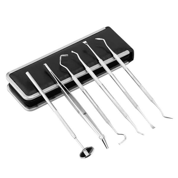 Professional Stainless Steel Dental Tools Kit - 6 Piece
