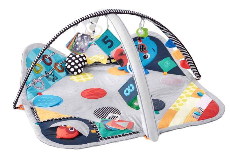Baby Einstein Sensory Play Newborn-to-Toddler Discovery Gym