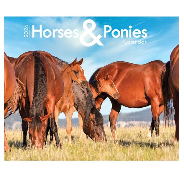 Horses &amp; Ponies - A4 Wall Calendar 2026