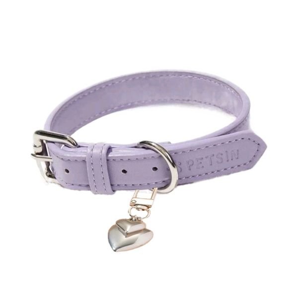 Pet Collar With A Pendant