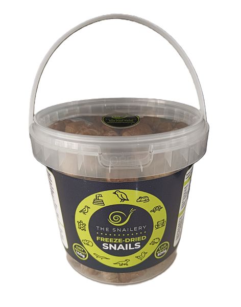 Reptile Food Freeze Dried Snails