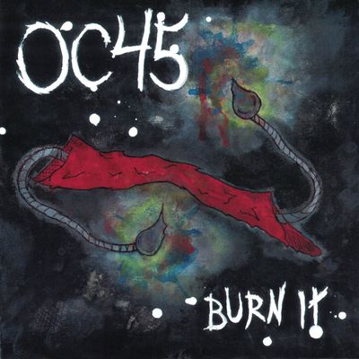 Burn It (Vinyl / 7" Single)