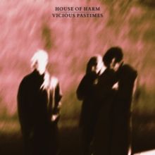 Vicious Pastimes (Vinyl / 12" Album)