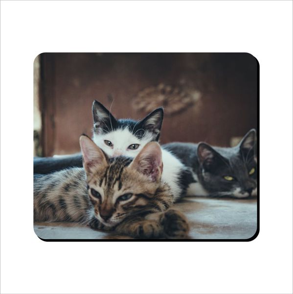 Mouse Pad - Three Sleepy Cats