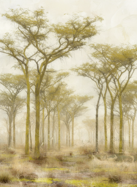 Canvas Ready to Hang Contemporary Wall Art Home Decor - fever tree