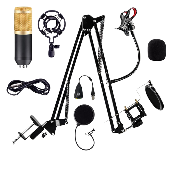 Professional Recording Condenser Microphone With Phone Holder And Stand