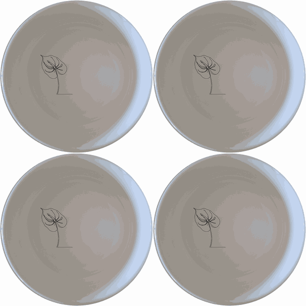 Anthurium Clarinervium Bowl Set of 4 - Range 3
