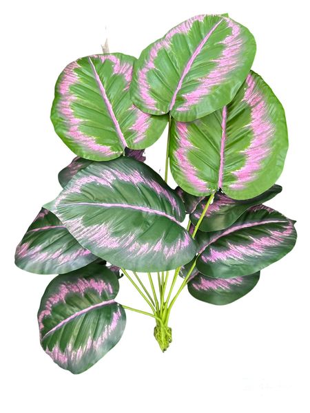 12Leaves image