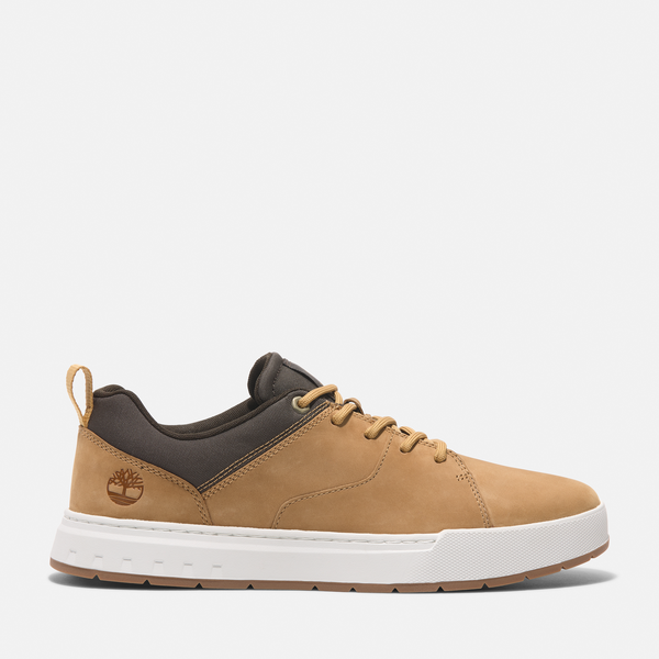 Timberland Maple Grove Low Lace Up Sneaker for Men