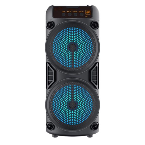 Wireless Bluetooth Speaker ECH322