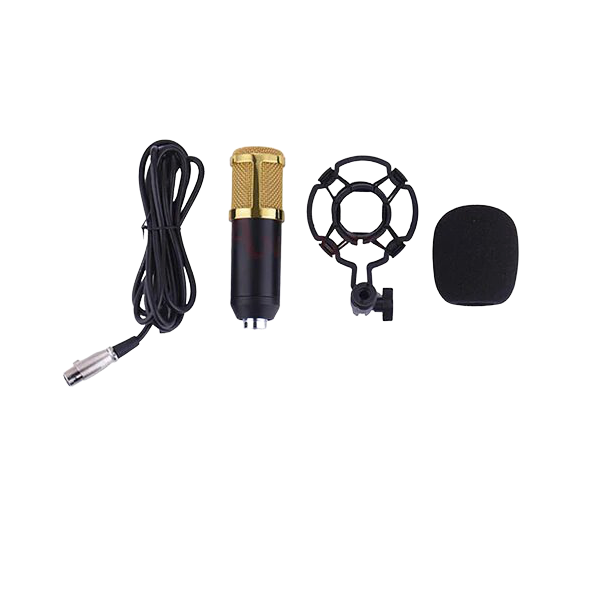 M800 Condenser Microphone with Shock Mount
