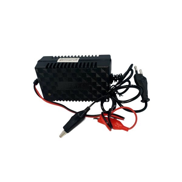 12v 2a Intelligent Pulse Charger