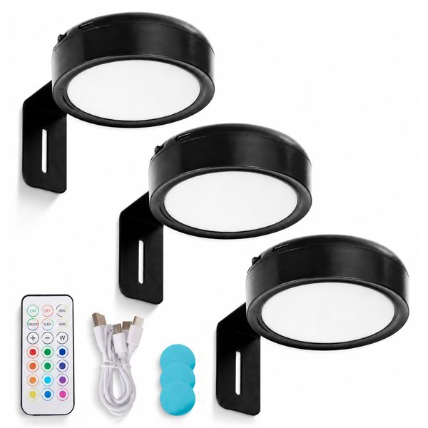 Chenshia Picture Lights for Wall Magnetic Poster Lights 3 ColorTemps&amp;13 RGB