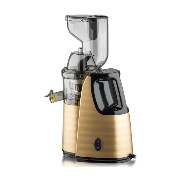 Gold &amp; Black Slow Press Juicer - Model R.2838