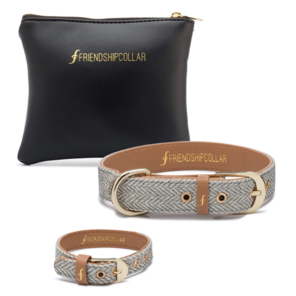 Friendship Collar Great British Canine
