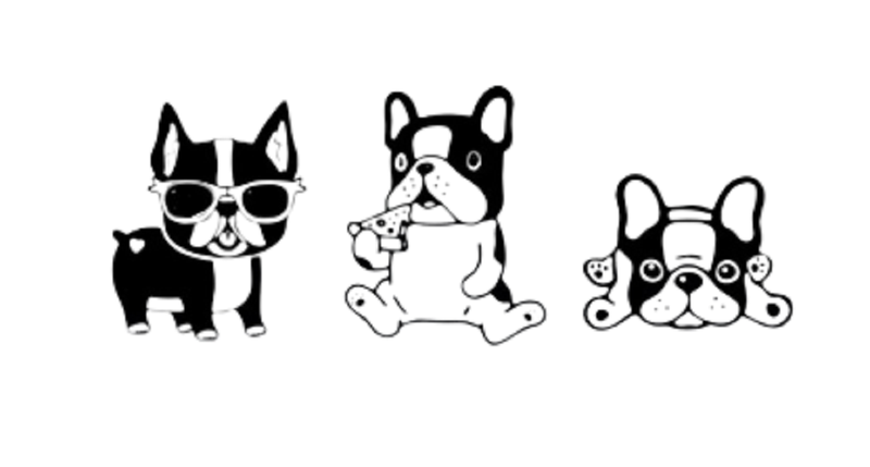 French Bull dog Wall art