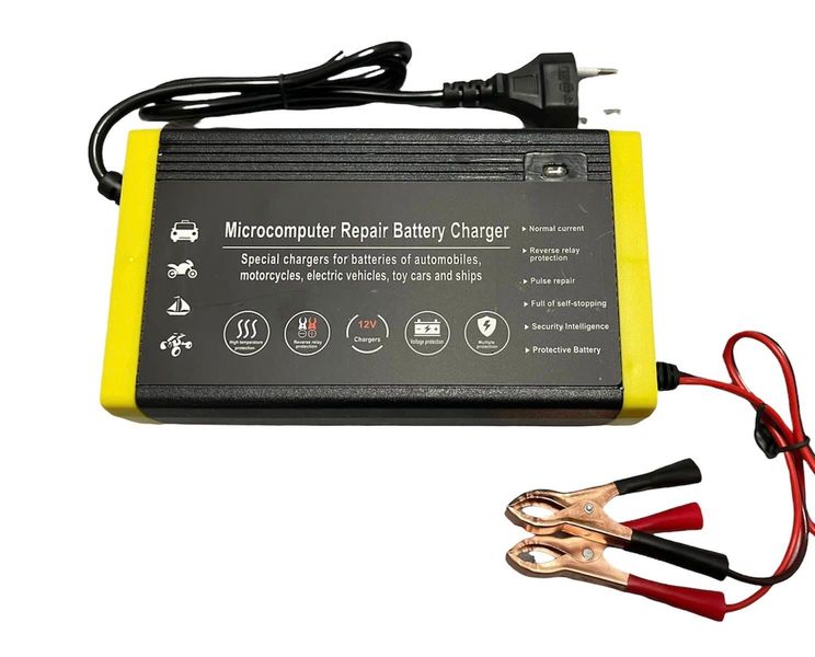 12V 10A Intelligent Charger