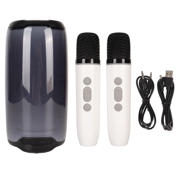 Karaoke Machine Intelligent Voice Interactive Speaker with Microphones