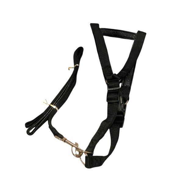 Adjustable Vest and Lead For a Medium Size Dog - Black or Vibrant Red