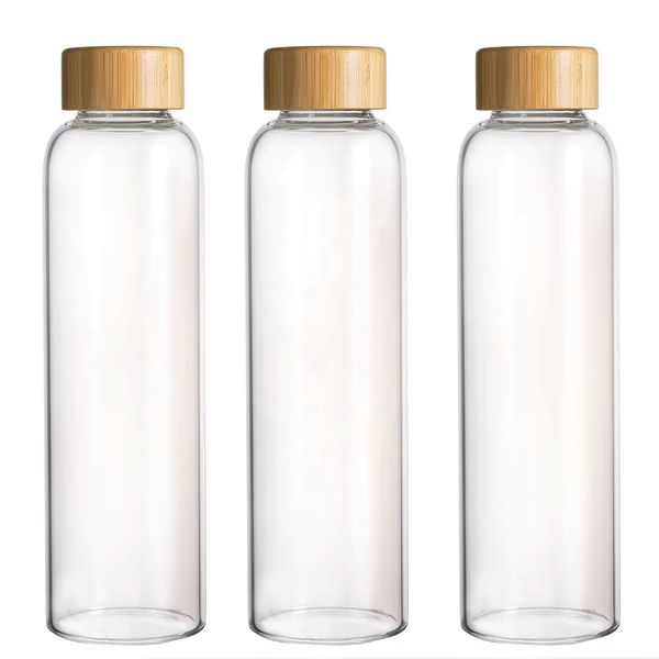 Reusable Glass Water Bottle
