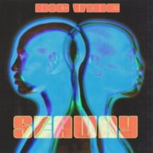Big Vibe (Vinyl / 12" Album Coloured Vinyl)