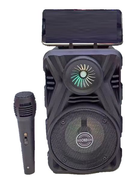 4.0 Bass Wireless Karaoke Speaker With Mic - TF/USB/FM/AUX - Black