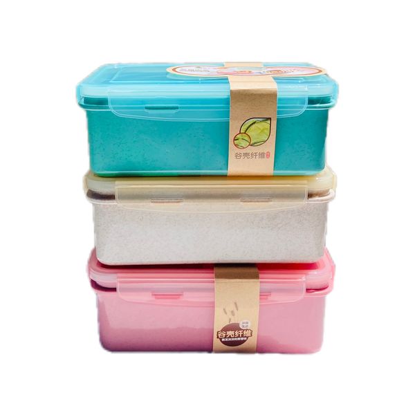Rectangular Lunch Box with 2 Compartments and a Spoon - Set of 3