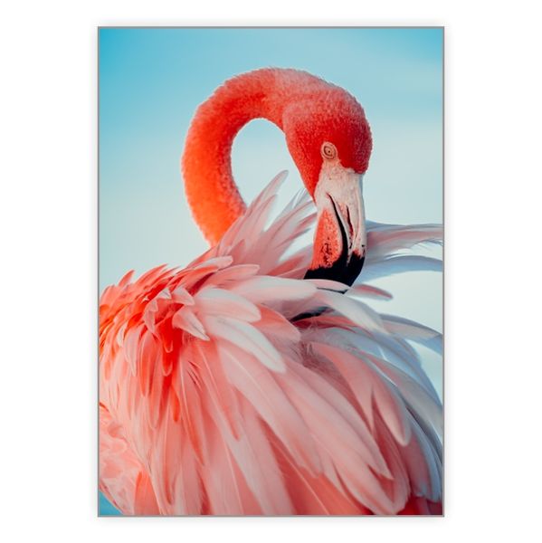 Flamingo In The Sky - A1 Poster
