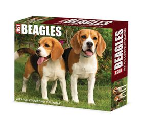 Beagles 2023 Box Calendar | Buy Online in South Africa | takealot.com