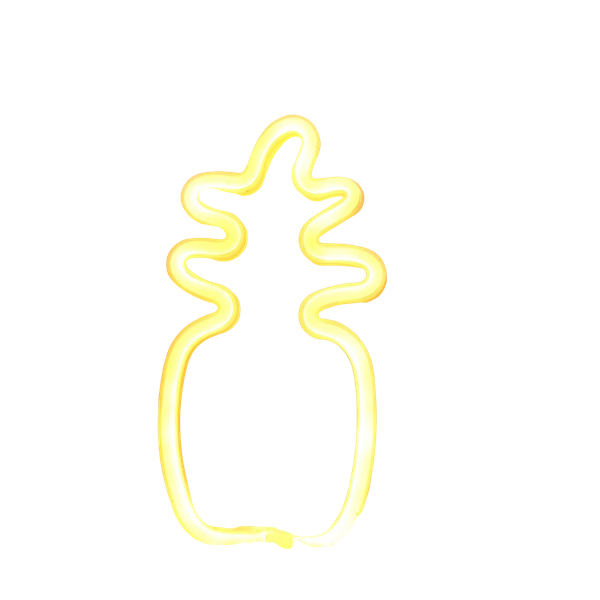 Pineapple Neon Sign Lamp USB Battery Operated