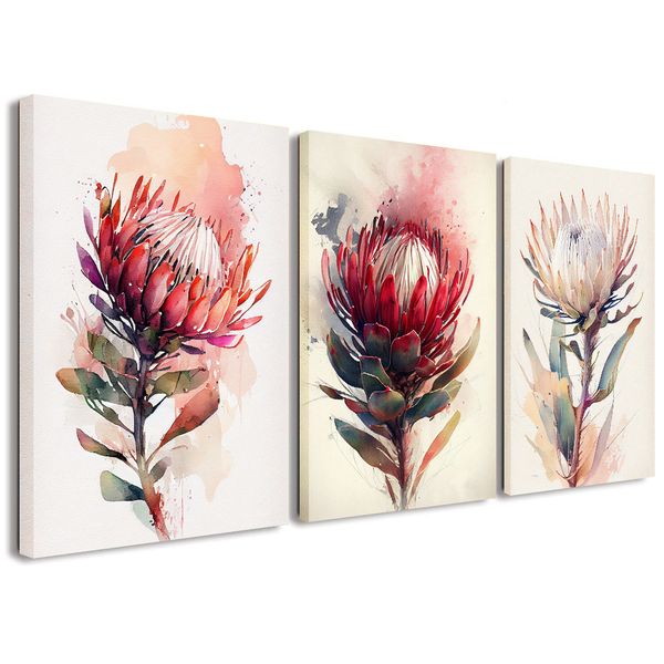 Canvas Art - 3 Piece Protea Floral Watercolour II Canvas Wall Art Decor