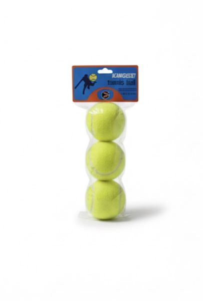 Hot-Selling Tennis Ball Machine