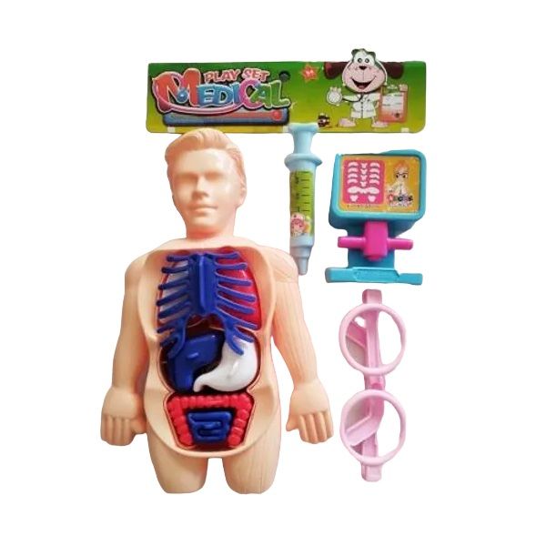 Medical Take Apart Body Parts Shop Today. Get it Tomorrow!