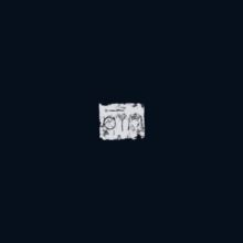 The Woods (Vinyl / 12" Album)