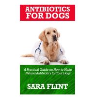 natural antibiotics for dogs