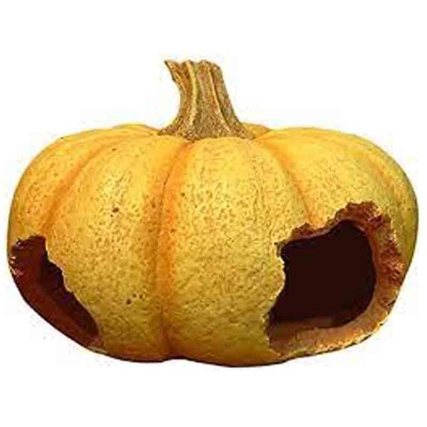 NOMOY Pumpkin Hideout for Small Pets / Fish / Reptiles