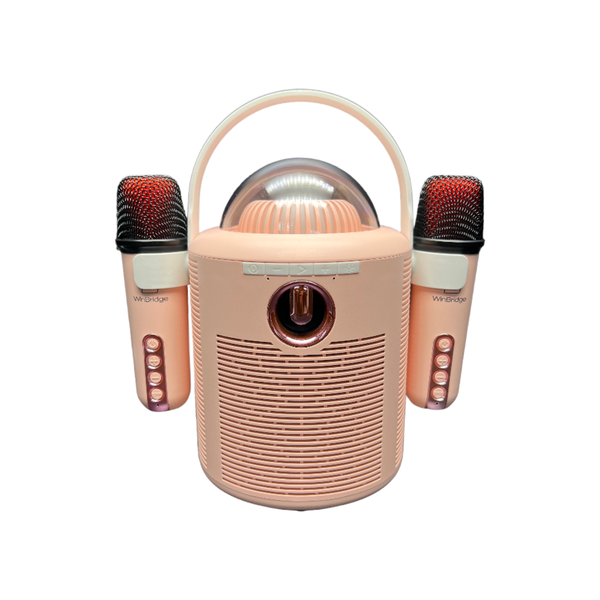 Karaoke T7 Bluetooth Speaker with 2 Mics