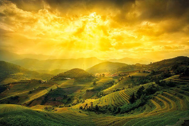 Rice Fields Of Yen Bai Poster