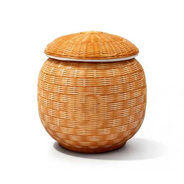 Bamboo Pattern Ceramic Tea Canister with Airtight Lid &amp; Gift Box