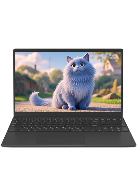 15.6" Laptop Fingerprintable RAM 8 GB SSD 256 GB Intel Celeron N5095 Win11