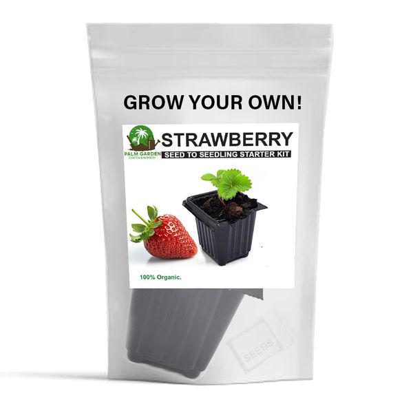 Palm Garden Grow Your Own Strawberry Plant - Seed to Seedling Kit